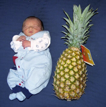Samuel Anthony - a great name, however, yet smaller than a pineapple!